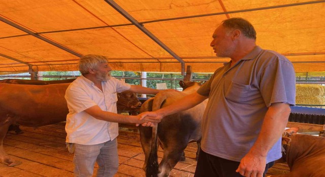 Modern ve hijyenik kurban kesim ve satış tesisi Büyükçekmecede kuruldu