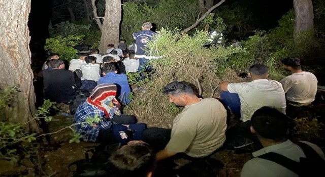 Muğlada 81 düzensiz göçmen, 6 göçmen kaçakçısı yakalandı
