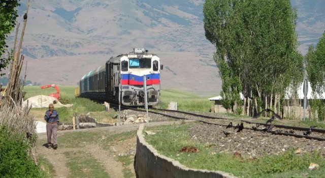 Muşta koyunlarını kurtarmaya çalışan besici yük treninin altında kalarak feci şekilde öldü