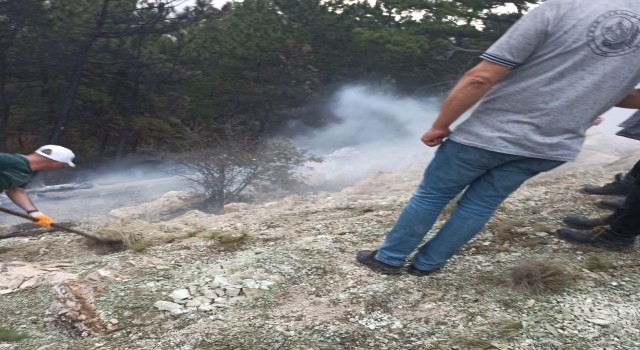 Nallıhanda yıldırımın neden olduğu orman yangını büyümeden söndürüldü