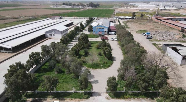 Nazillide kurban kesim fiyatları açıklandı