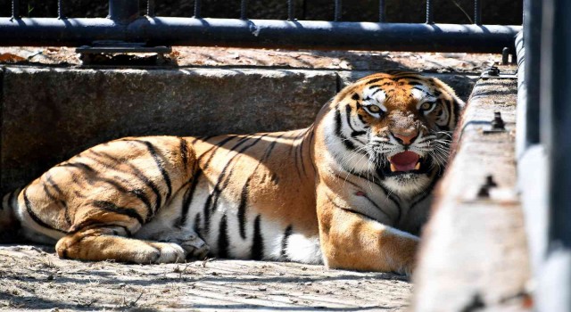 Nazlı Tarsus Doğa Parkında