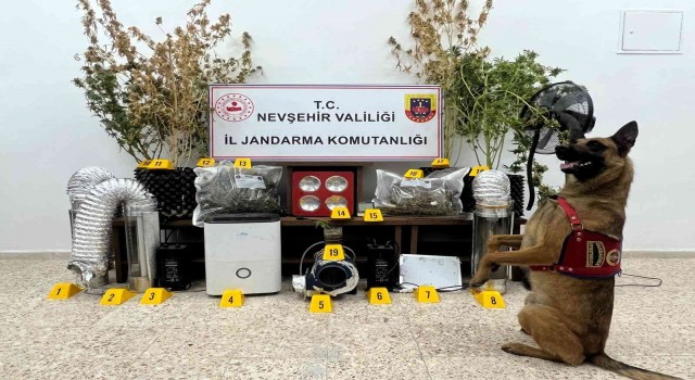 Nevşehirde uyuşturucu operasyonu: 3 gözaltı