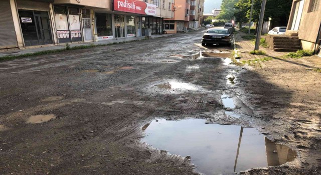 Oltuluların yol tepkisi