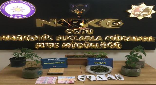 Orduda 3 torbacı tutuklandı
