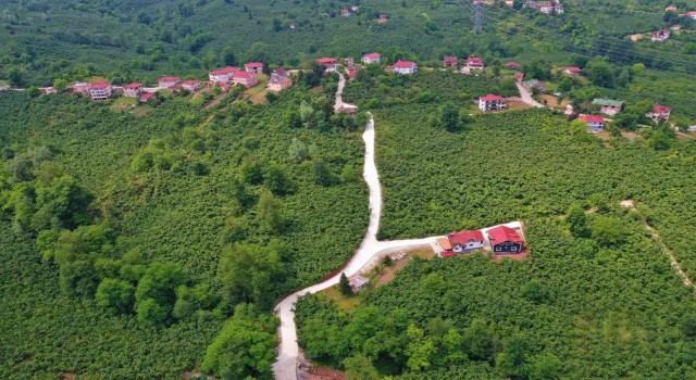 Orduda 42 mahallede beton yol çalışması tamamlandı