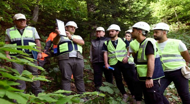Ormancılık dersini ormanda işlediler