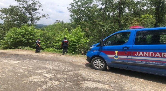Ortağını pompalı tüfekle vurdu, cansız bedenini ormanlık alana bıraktı