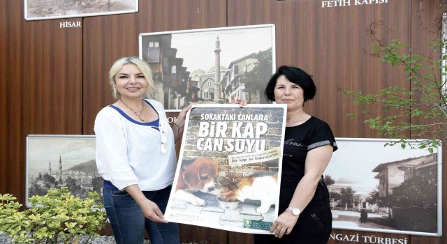 Osmangazide can dostlar emin ellerde