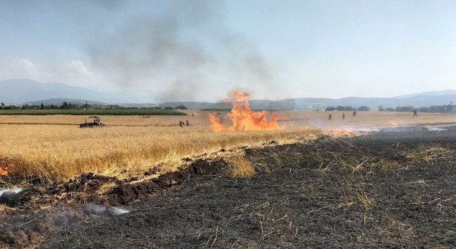 Osmaniyede 10 dönüm buğday tarlası yandı
