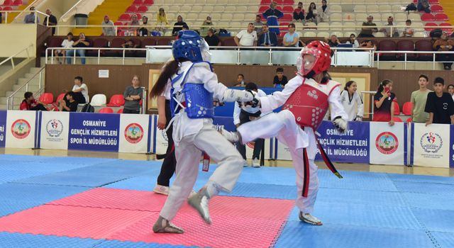 Osmaniye'de Yıldızlar Taekwondo İl seçmeleri yapıldı