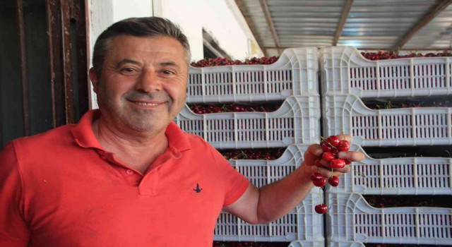 (ÖZEL) Bilecikte 30 yıldır kurulan Kiraz Borsası