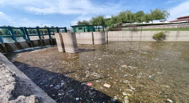 Porsuk Çayında biriken ağaç dalları ve çöpler görenleri hayrete düşürüyor