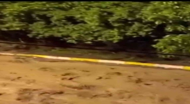 Posofta sağanak ve dolu etkili oldu