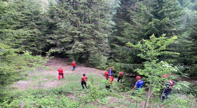 Rizede dereye düşen Arap turisti arama çalışmaları devam ediyor