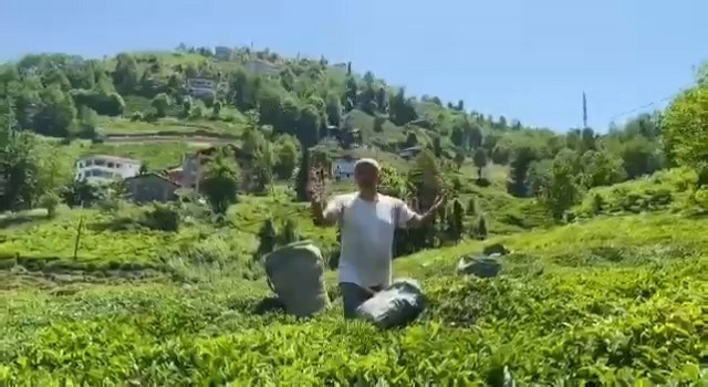 Rizeli çay üreticisinden Selçuk Bayraktara ilginç çağrı