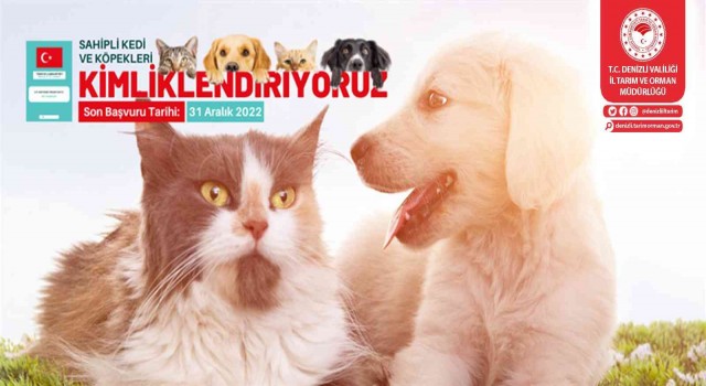 Sahipli kedi ve köpeklerin yıl sonuna kadar kimliklenmesi gerekiyor