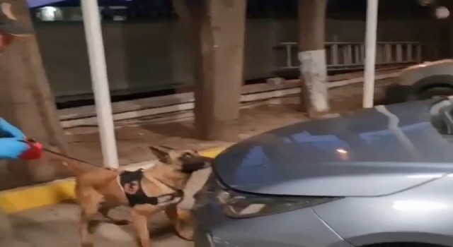 Sakaryada 2 ilçede uyuşturucu operasyonu: 5 gözaltı
