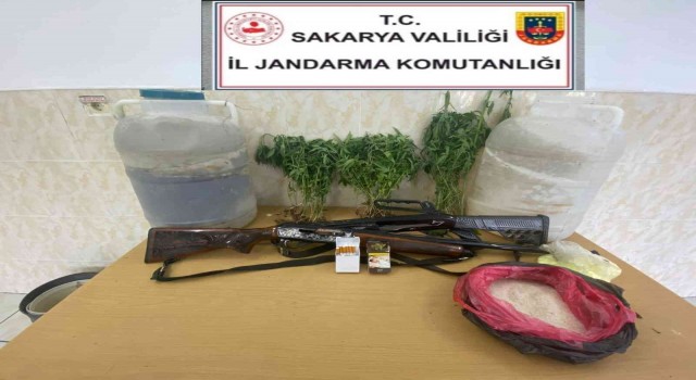 Sakaryada yasadışı kenevir operasyonu: 1 gözaltı