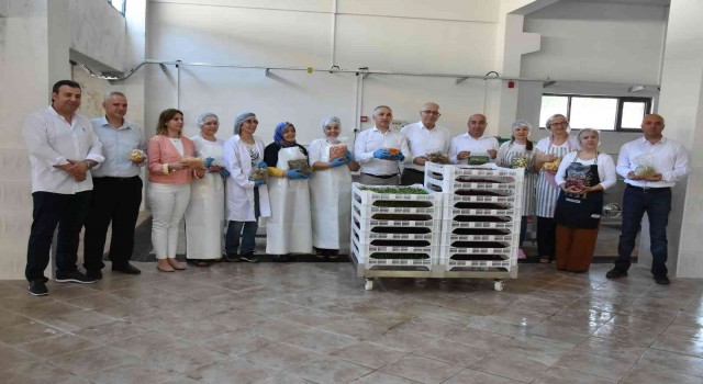 Salihlide kurutma tesisi üretime başladı
