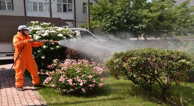 Selçukluda haşerelere karşı ilaçlama çalışmaları sürüyor