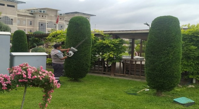 Sincanda yeşil sanat