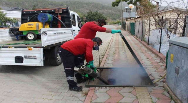 Sineksiz yaz için yoğun mücadele