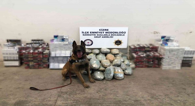 Şırnakta 51 kilo esrar ve kaçak sigara ele geçirildi