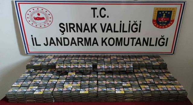Şırnakta kaçakçılık ve asayiş operasyonu: 51 gözaltı