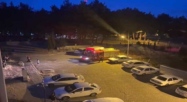 Site bahçesindeki yılan paniği