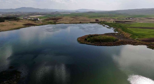 Sivasın en büyük ikinci gölünde sevindiren gelişme