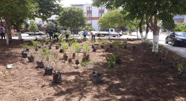 Soma Belediyesinde yaz çalışmaları devam ediyor