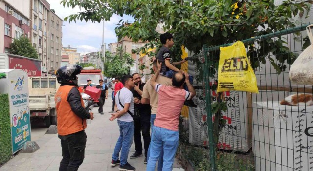 Sultangazide kiraz ağacından inerken kaydı: Çocuğun eline demir çit saplandı