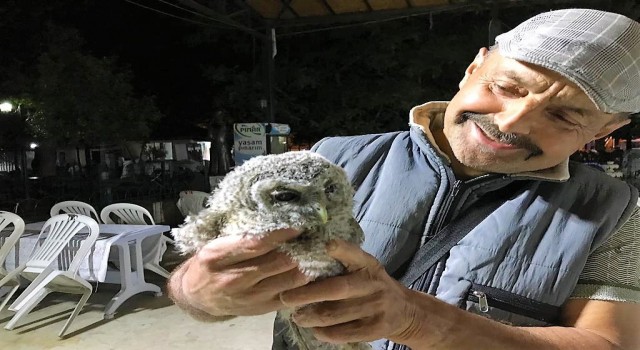 Tarlasında bulduğu yaralı baykuşa evladı gibi bakıyor
