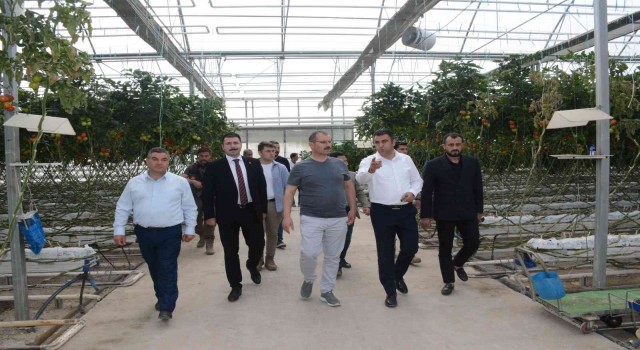 Tatvan heyetinden Van ve Ağrıdaki seralara inceleme ziyareti
