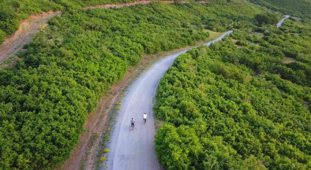 Tatvandaki rota, bisiklet tutkunlarına doğa ile iç içe bir seyahat sunuyor