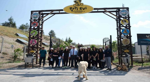 Tekden öğrencilerinden sokak hayvanları için ‘Ver Elini Tut Patimi kampanyası