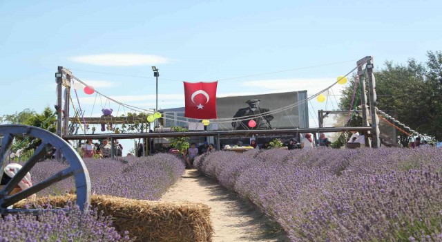 Tekirdağda lavanta tarlalarına 1 milyon ziyaretçi hedefleniyor