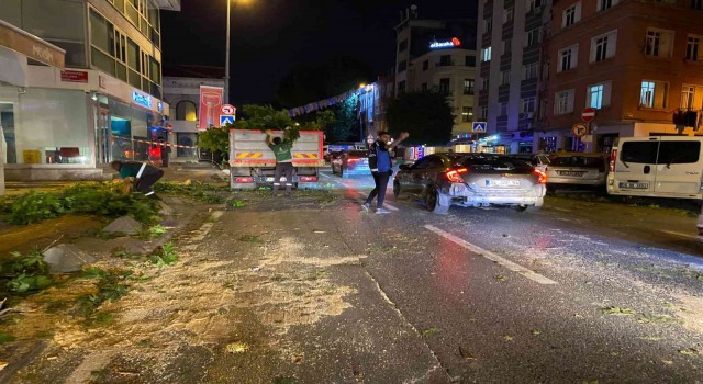 TIRın çarptığı ağaç ortadan ikiye kırıldı