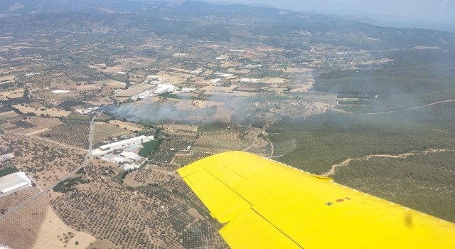 Torbalıda zeytinlik alanda yangın