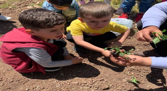 Tuncelide anaokulu öğrencileri hobi bahçesi oluşturdu