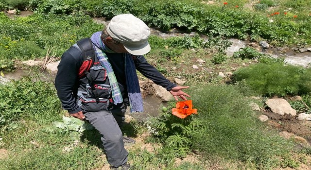 Tuncelide bitki envanteri çıkarılıyor