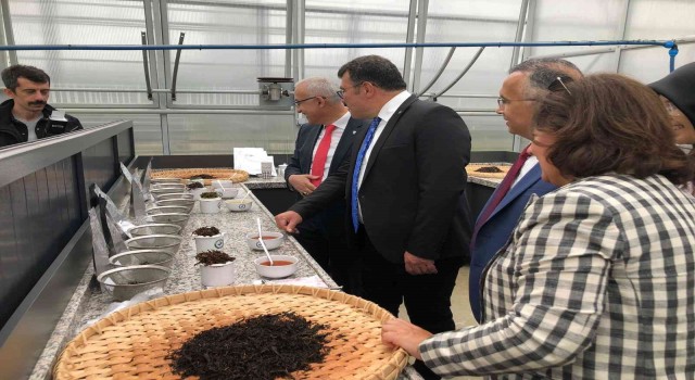 Ulusal Gen Havuzu Rizede açıldı