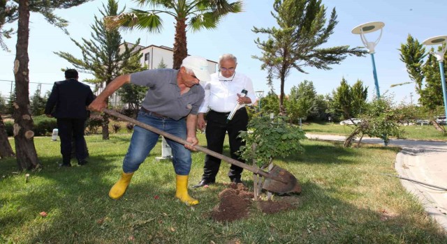 Üniversite kampüs alanına sürüngen savar yerleştirildi