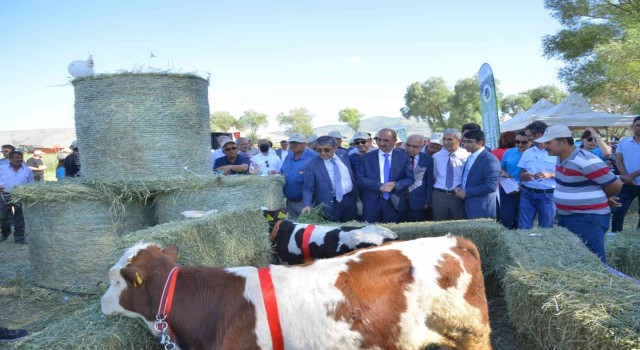 Üniversite Projeleri sonuç verdi ‘Tarla Günü etkinliği düzenlendi