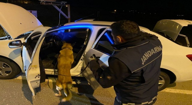 Uyuşturucu operasyonu; 2 gözaltı