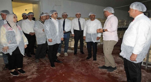 Vali Şıldak Manyasta çeşitli incelemeler de bulundu