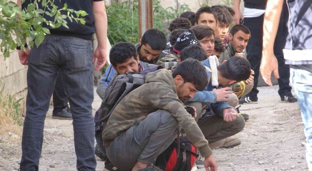 Vanda 20 düzensiz göçmen yakalandı