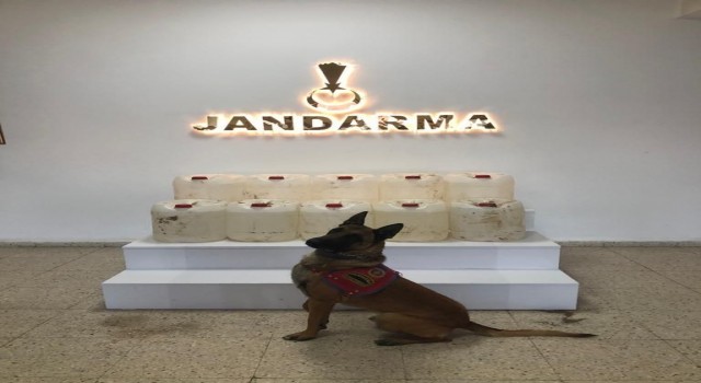 Vanda 325 litre asitanhidrit ele geçirildi