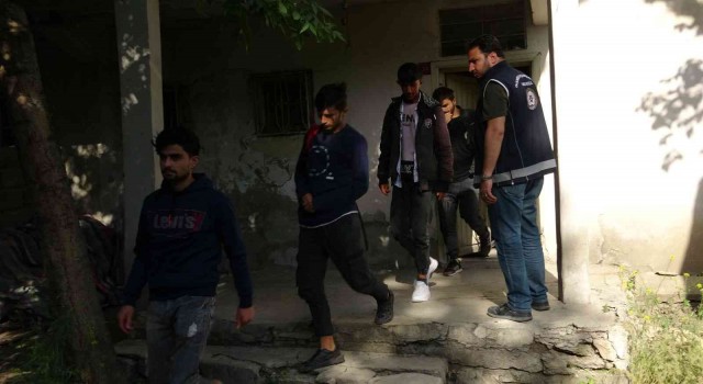 Vanda 9 düzensiz göçmen yakalandı